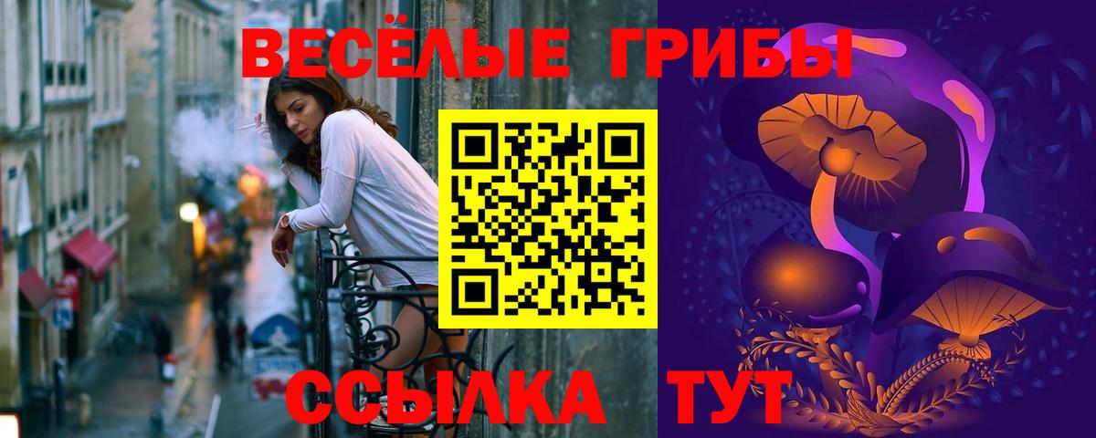 Псилоцибиновые грибы GOLDEN TEACHER Калининград